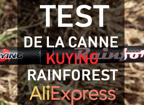 Test de la canne Kuying RainForest 2.40M 7/28gr